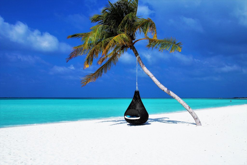 Palm tree over white sand beach with black swinging chair, turquoise waters, and clear blue sky. Tranquil tropical scene.
