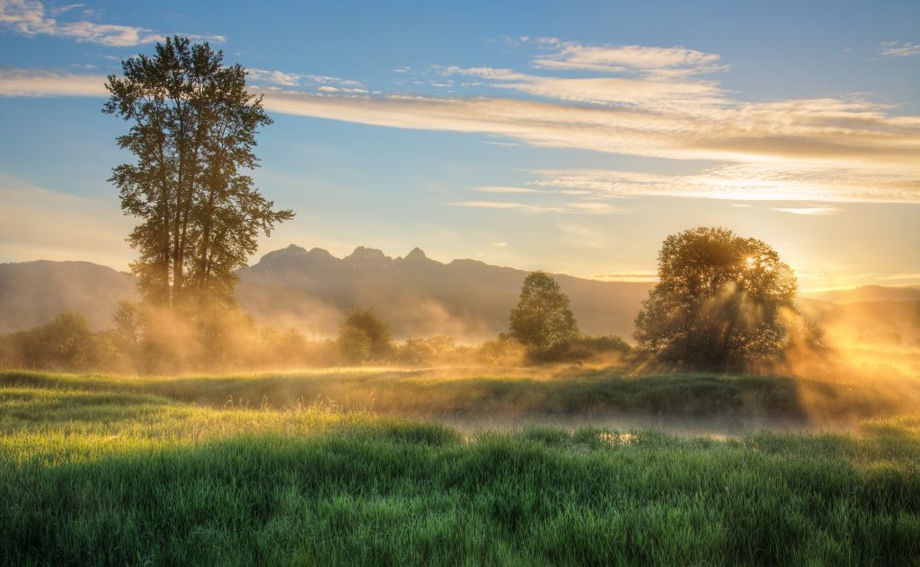 Sunrise over a misty meadow with mountains in the background.