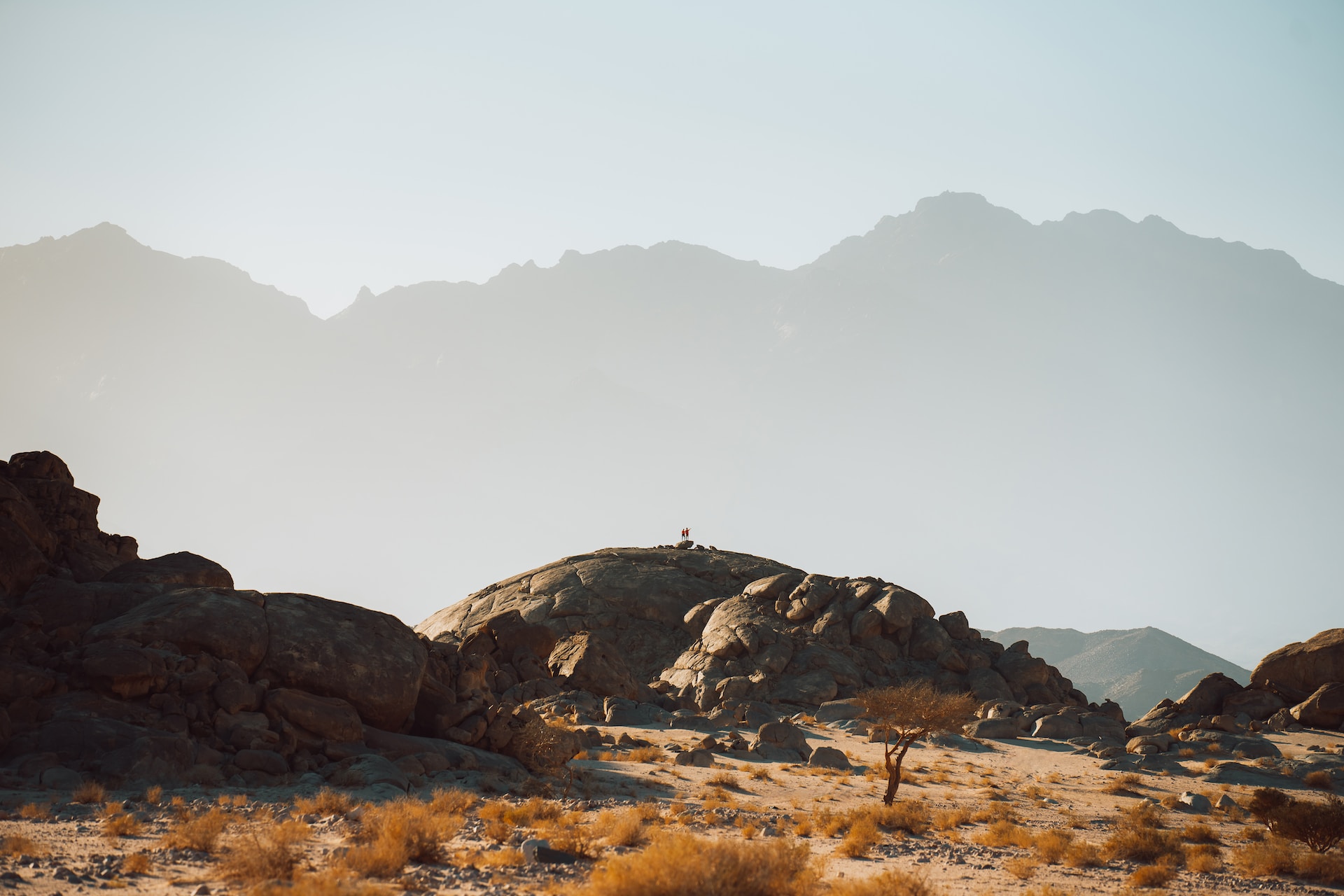 How You Can Use Travel APIs to Promote Local Tourism | TTR