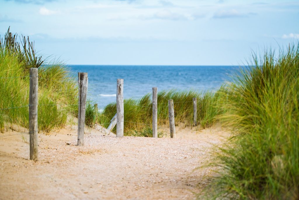 A quiet pathway amongst sand dunes on a sunny day