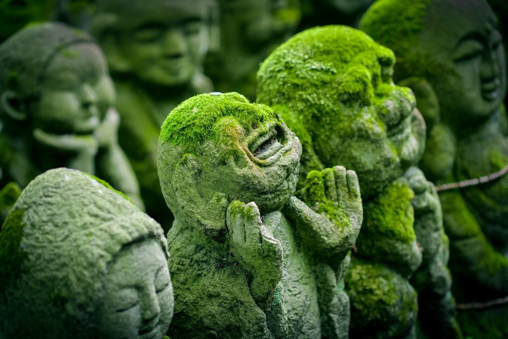 Moss-covered stone statues of Buddhist figures in various poses.