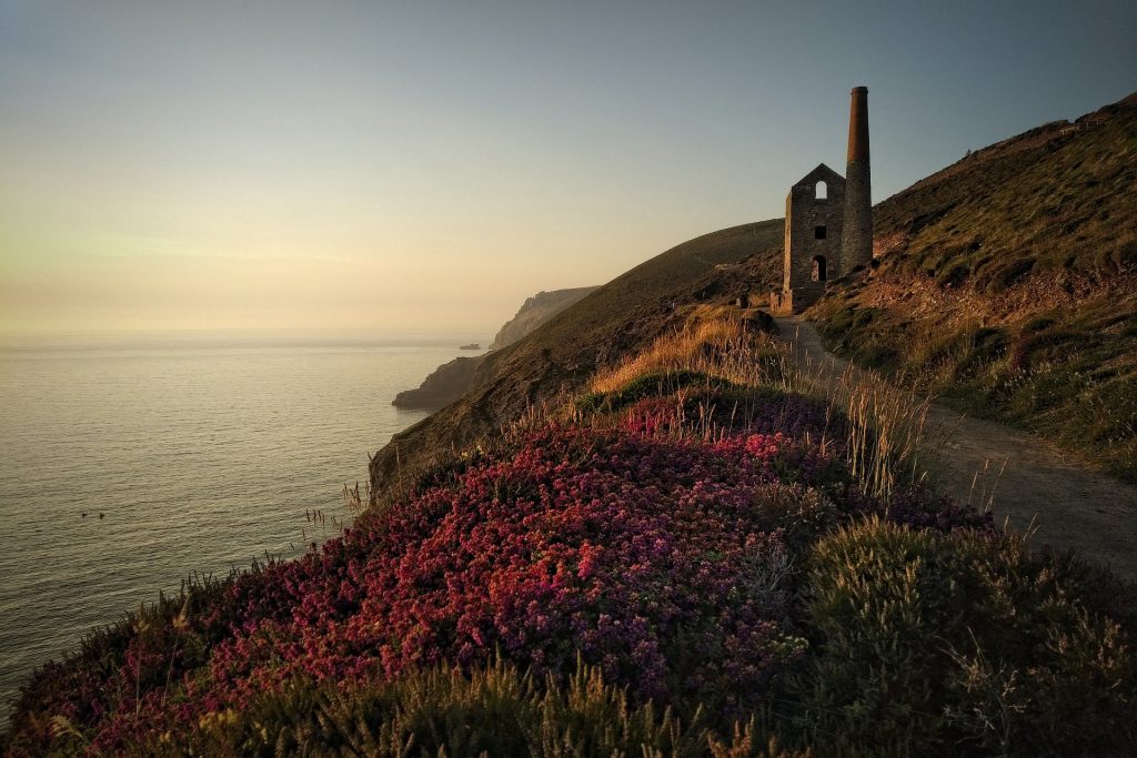 Golden hour sunlight illuminates a lone stone tower on a cliffside, surrounded by vibrant flowers, overlooking the sea.
