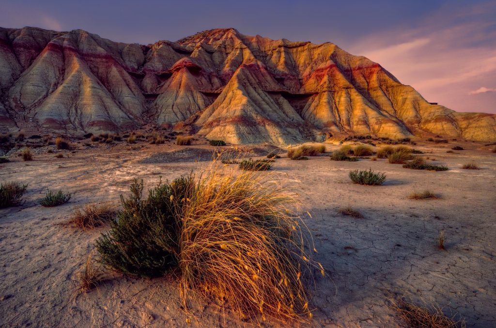 Sunset illuminates the multi-colored stratified hills in a desert landscape, highlighting a lone shrub in the foreground.