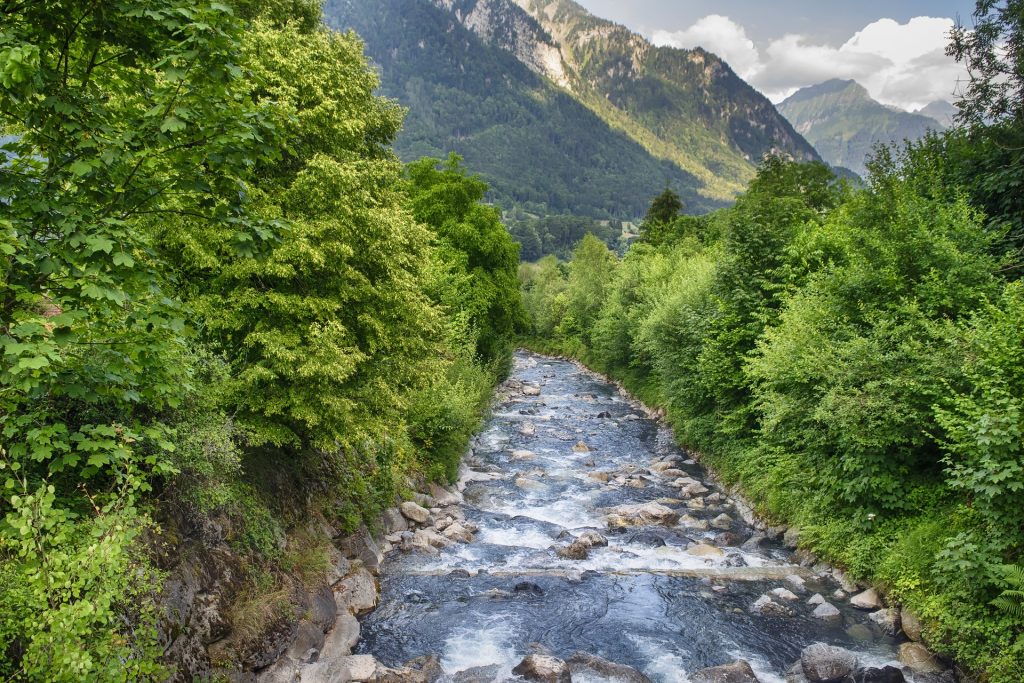 Mountain stream flowing through lush green forest with rocky banks, set against a backdrop of towering mountains.