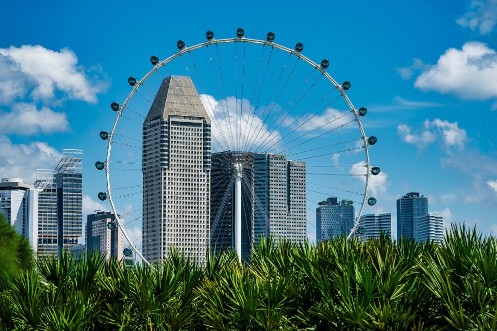 Iconic Ferris wheel against a modern city skyline with tall skyscrapers, framed by lush green plants under a bright blue sky.