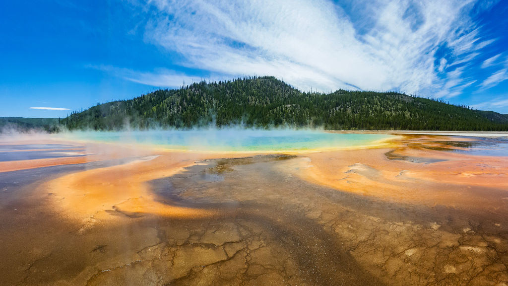 Vivid Grand Prismatic Spring in Yellowstone National Park, surrounded by forested hills under a bright blue sky.