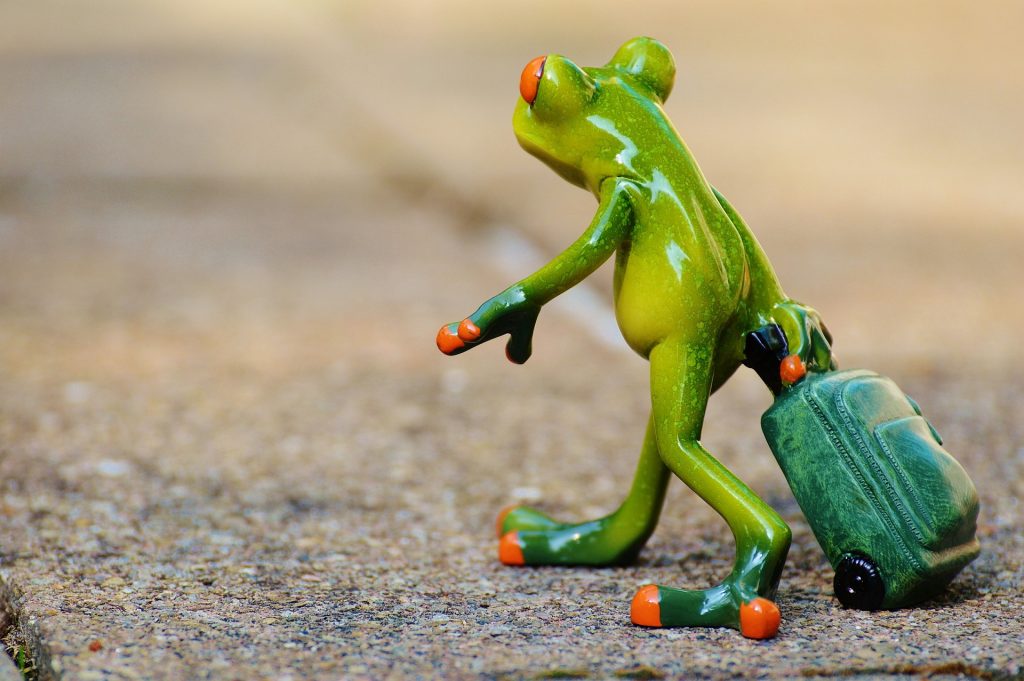 Humorous figurine of a green frog pulling a suitcase, depicted on a textured outdoor surface.