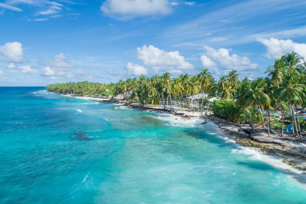 Tropical beach with lush palm trees, sandy shore, clear turquoise water, and a bright blue sky with fluffy clouds.